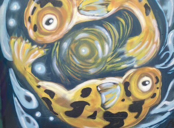 Miniscule Deviations