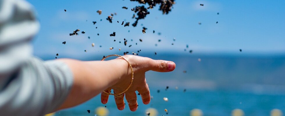 Ergotherapie ~ Psychosoziale Beratung ~ Therapeutische Körperarbeit