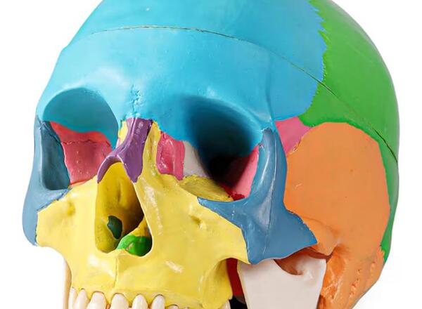 Craniosacral Balancing