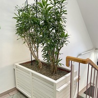 Gallery Foto