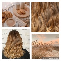 Gallery Foto