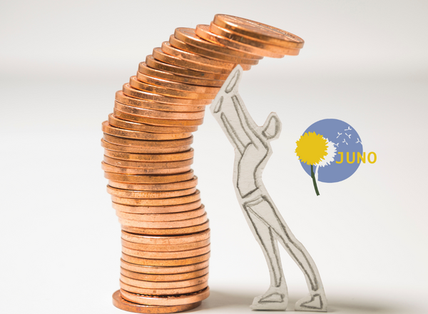 JUNO Workshop Finanzielle Beihilfen für Getrennt- und Alleinerziehende
