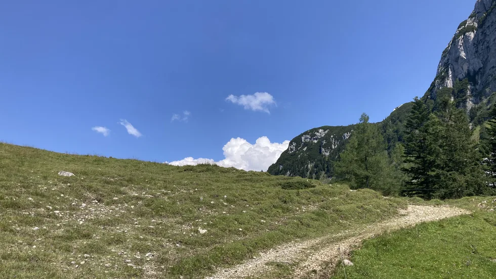 Marianne Trefil  – Foto 1