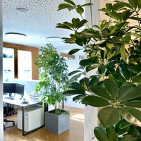 Gallery Foto