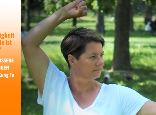 Medizinisches Kung Fu