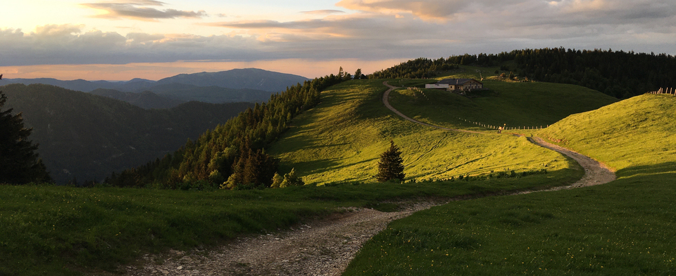 Achtsames Weitwandern | 01.-04. Mai 2025 | Von Wien zum Schneeberg