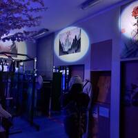 Gallery Foto