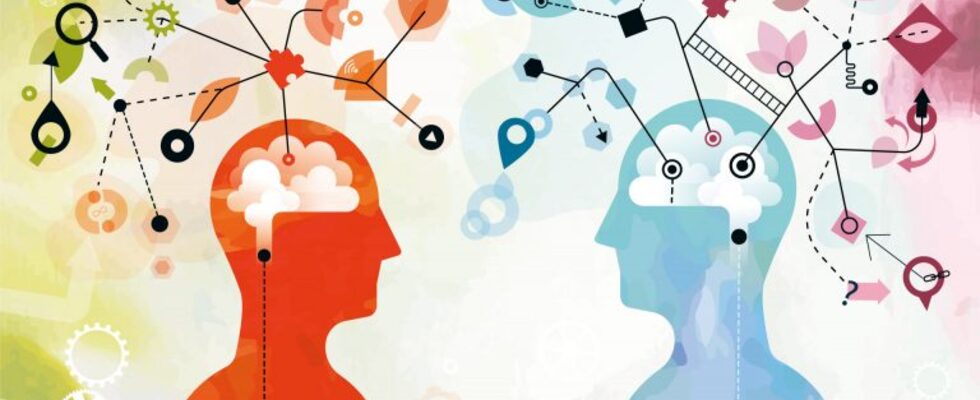 Supervision & Coaching