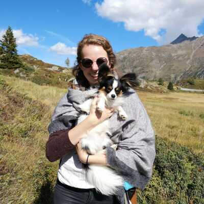 Suche Gesellschaft/Sitten für kleinen Hund 