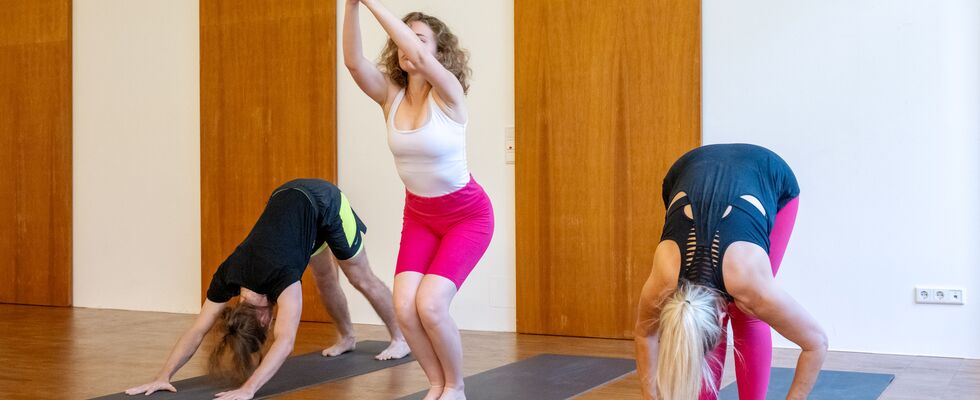 Ashtanga Yoga für Einsteiger*innen