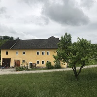Gallery Foto