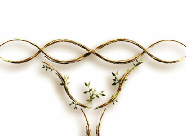 Ela Frequenzen - Klangenergetik