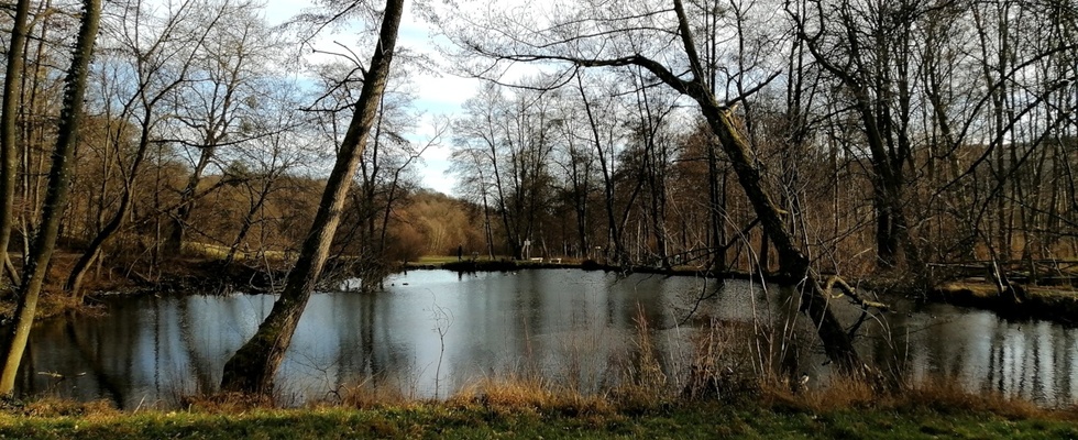 HerzKreis und Geomantie im Schwarzenbergpark