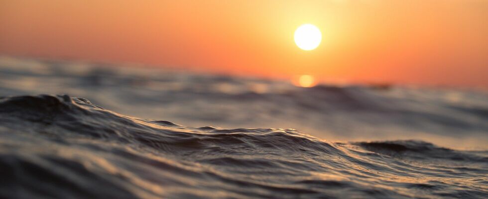 Zeit-Geist-Impulse für dich in vier Einheiten - Element Wasser