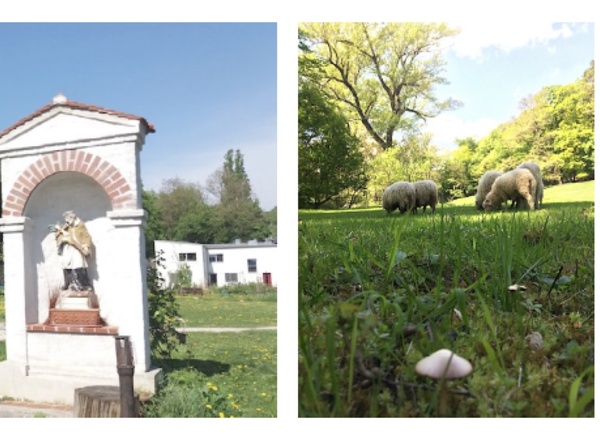 'Der Kalksburger Park und seine Schätze' – Erkundungen in Natur und Geschichte(n)