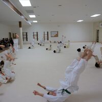 Gallery Foto