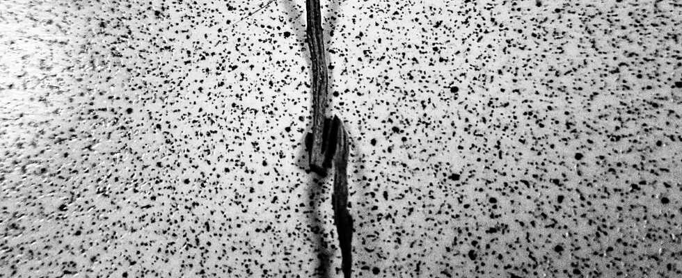 Aki Streeter's Mad Multiverse