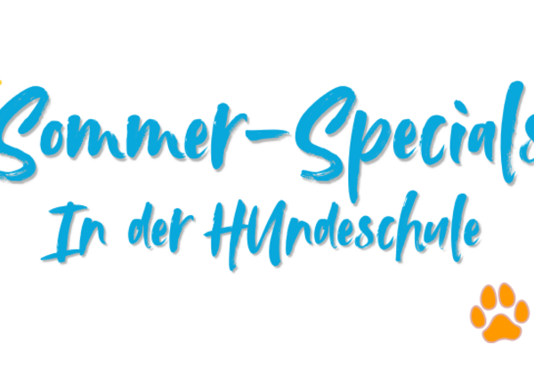 Sommerangebote in der Hundeschule