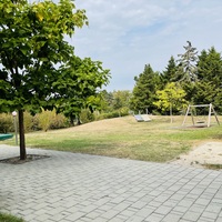 Gallery Foto
