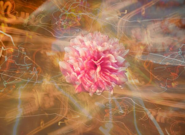 Soul Solution Meditationen