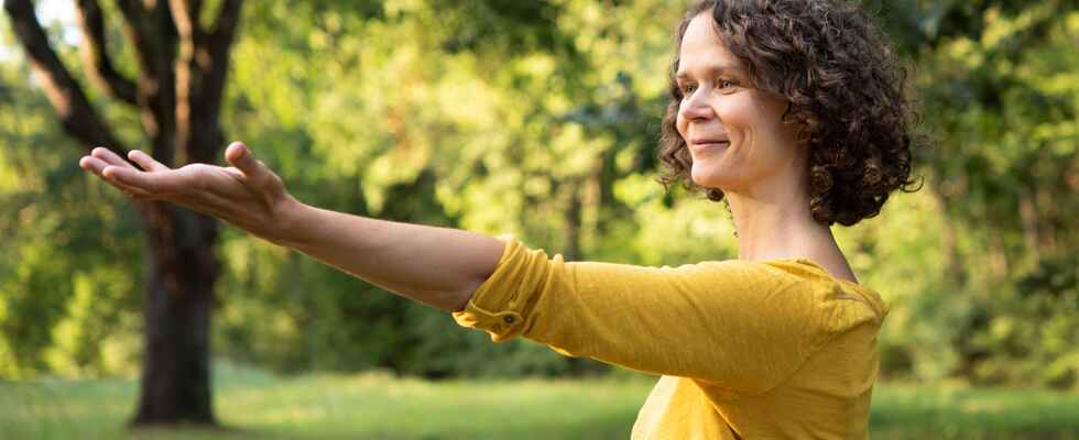Qi Gong im Maxingpark