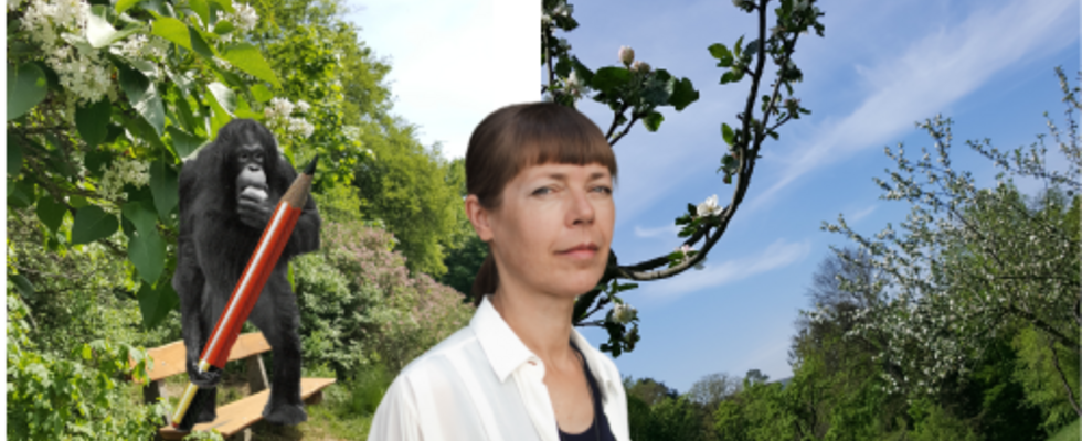 Schreiben unter Bäumen im Dehnepark
