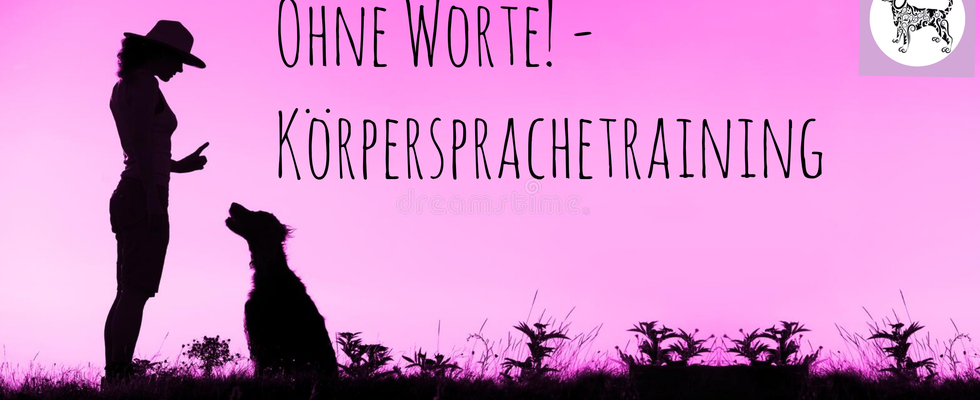 OHNE WORTE!- KOMMANDOS PER KÖRPERSPRACHE 
