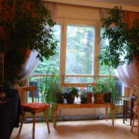 Gallery Foto