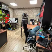 Gallery Foto