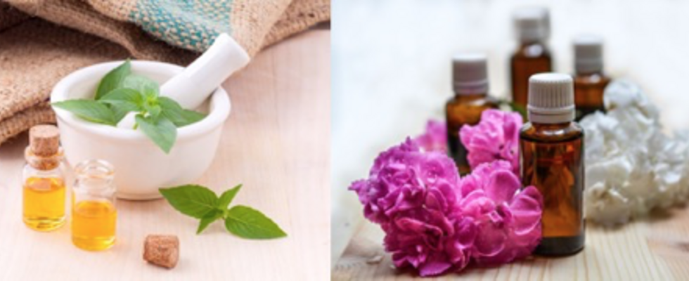 Online Aroma Workshop „Happy Winter – Schnupfennasen und Winterblues ade“