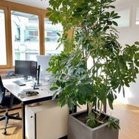 Gallery Foto