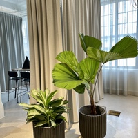Gallery Foto