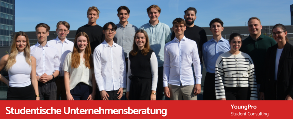 YoungPro Consulting