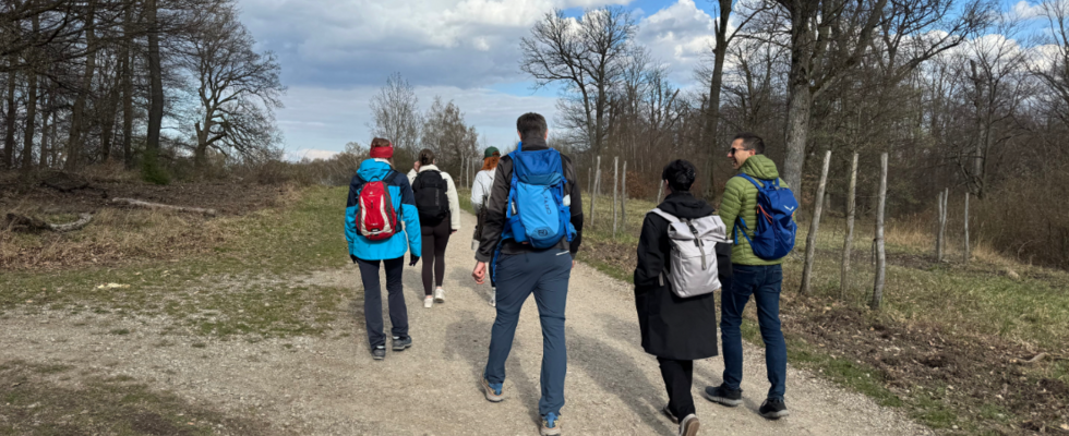 Coaching Gruppenwanderung im Lainzer Tiergarten