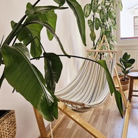 Gallery Foto