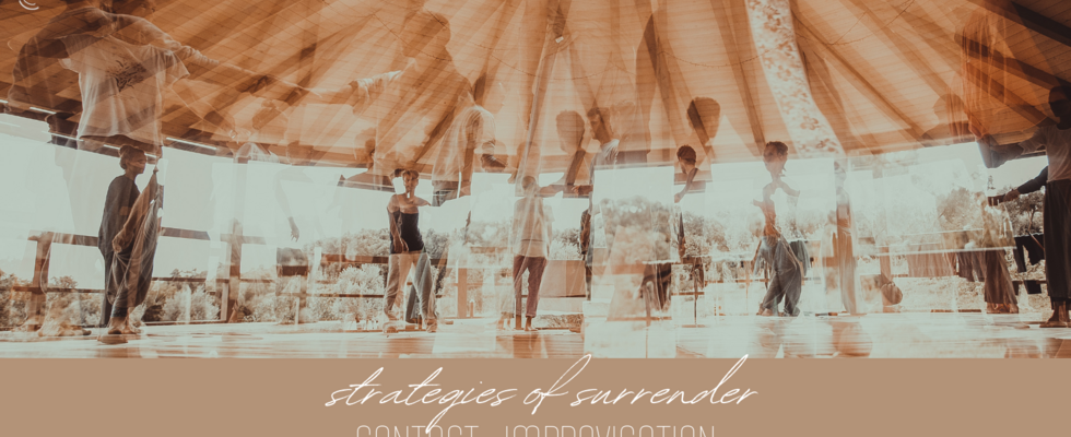Contact Improvisation Wochenendworkshop