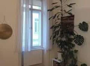 Gallery Foto