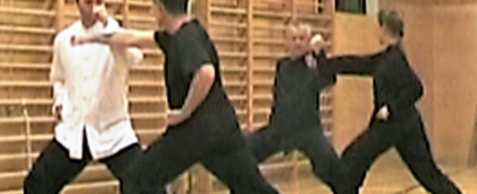Kung Fu - Seniors - Try Out