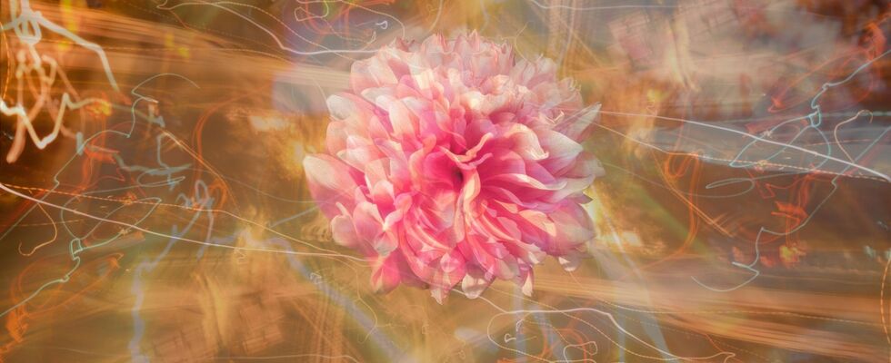 Soul Solution Meditationen