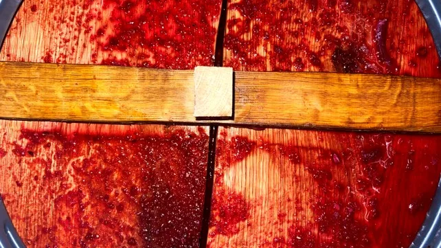 KRUT – Foto 1