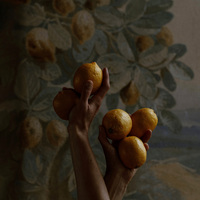 Gallery Foto