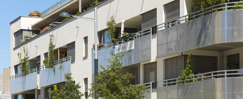 Tag der offenen Wohnprojekte - Grüner Markt