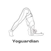 Yoguardian - Vinyasa Flow Yoga