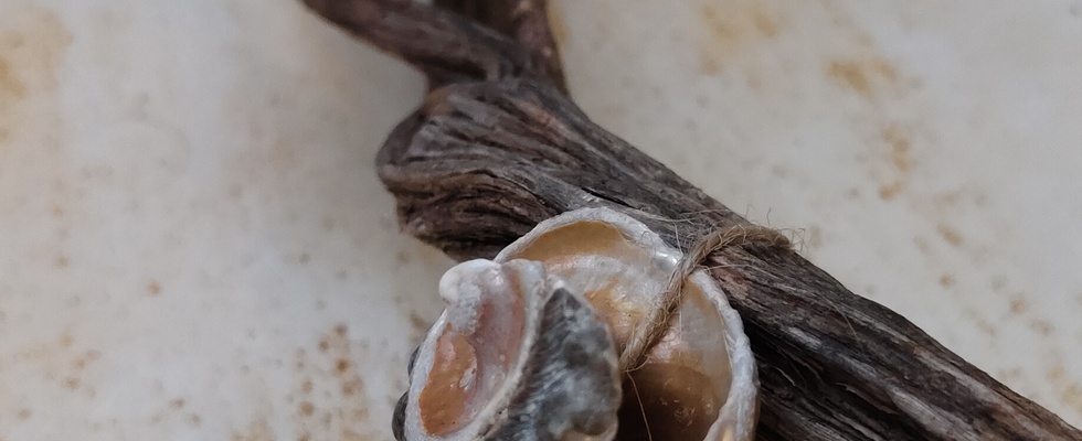 Start Ausstellung: Verflochten – Isprepleteno – Interwoven