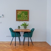 Gallery Foto