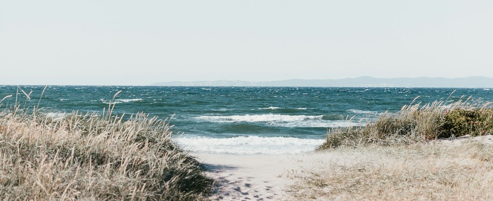 Sarah Thies - Psychologin, dipl. psychologische Beraterin & Traumapädagogin