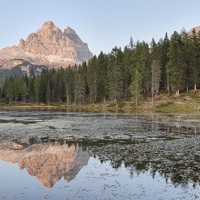 Gallery Foto