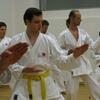 Shōtōkan Karate-Dō Wien
