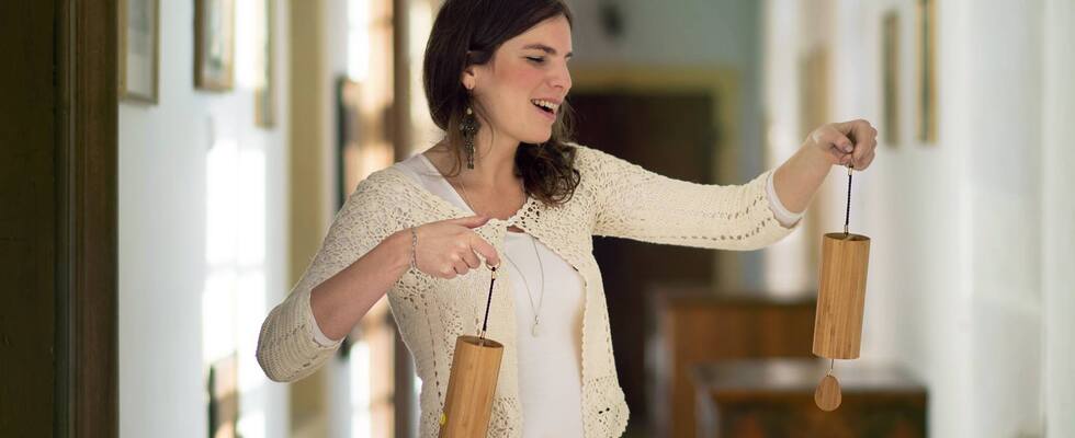 Light your Voice - 12 Wochen Kurs & Training