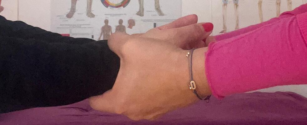 Cranio trifft Kinesiologie 